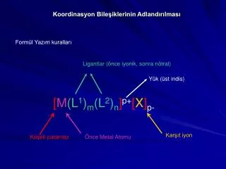 Koordinasyon Bileşiklerinin Adlandırılması