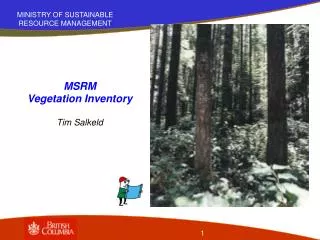 MSRM Vegetation Inventory Tim Salkeld