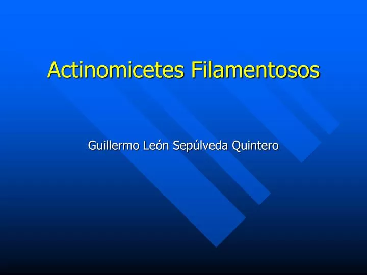 actinomicetes filamentosos