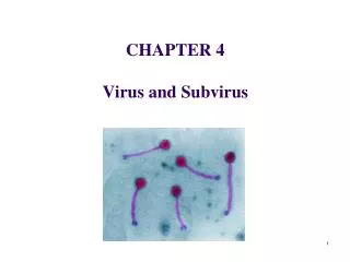 CHAPTER 4 Virus and Subvirus