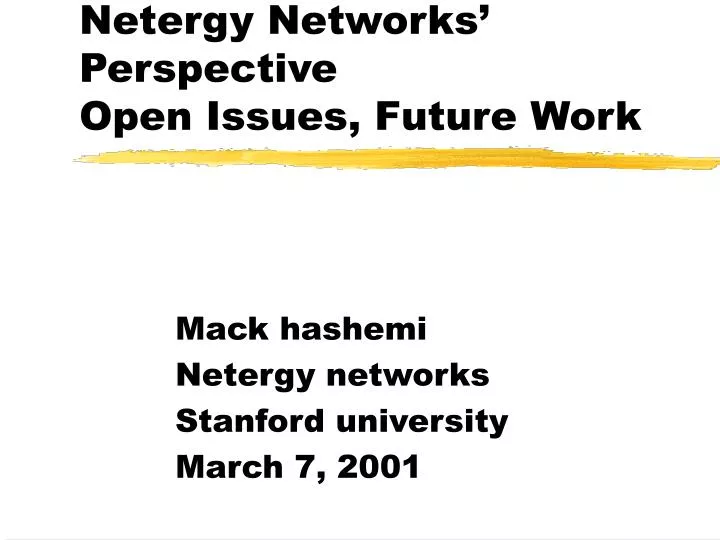 netergy networks perspective open issues future work