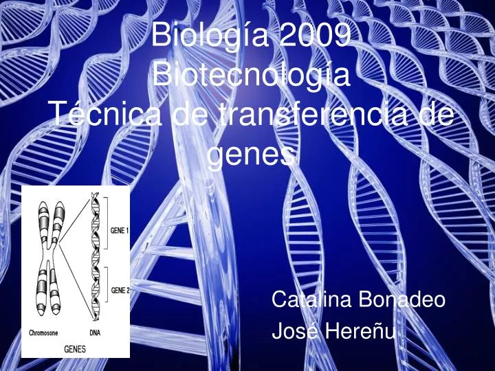 biolog a 2009 biotecnolog a t cnica de transferencia de genes
