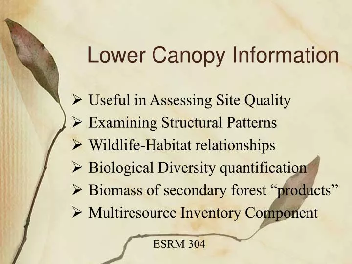 lower canopy information