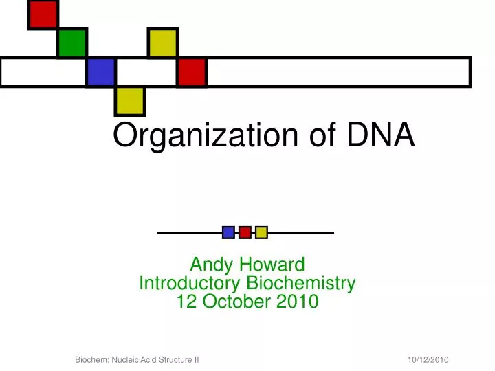 organization of dna