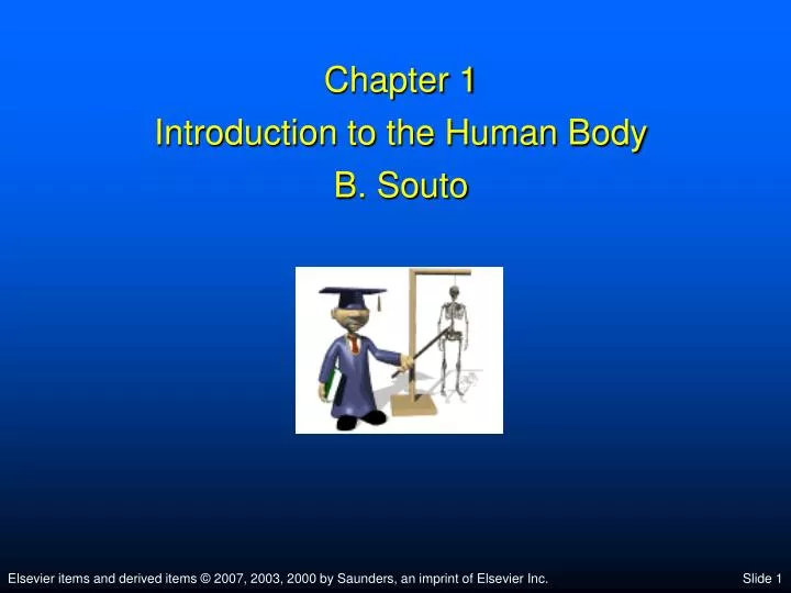 chapter 1 introduction to the human body b souto