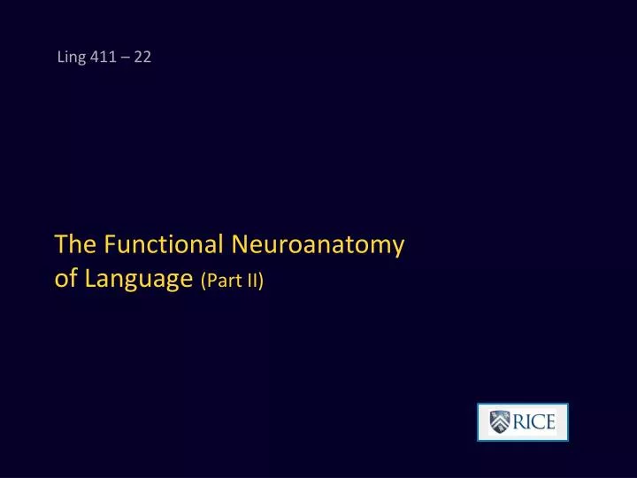 the functional neuroanatomy of language part ii