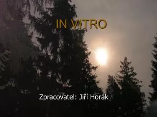 in vitro