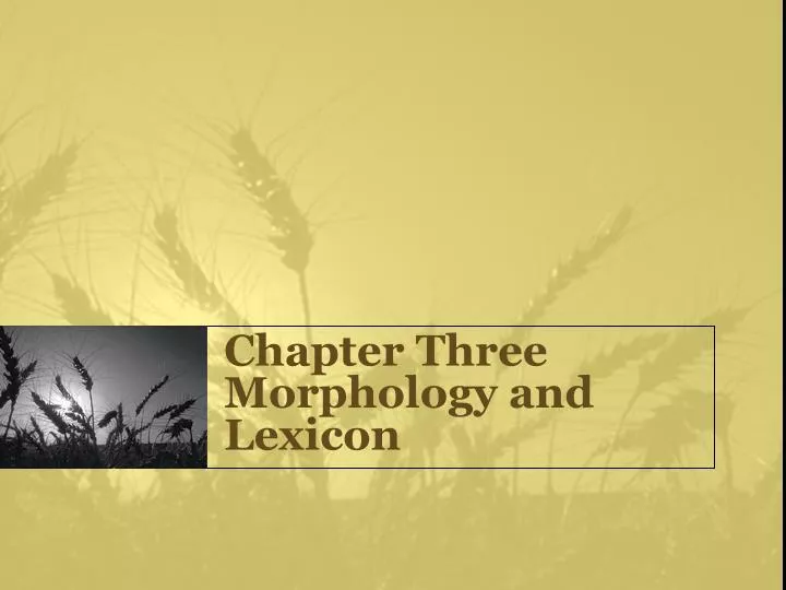 chapter three morphology and lexicon