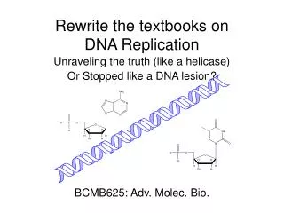 Rewrite the textbooks on DNA Replication