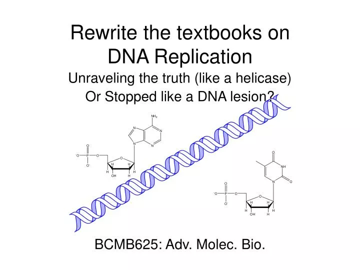 rewrite the textbooks on dna replication