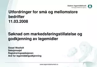 utfordringer for sm og mellomstore bedrifter 11 03 2008