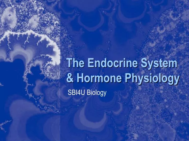 the endocrine system hormone physiology