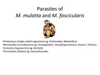 Parasites of M. mulatta and M. fascicularis