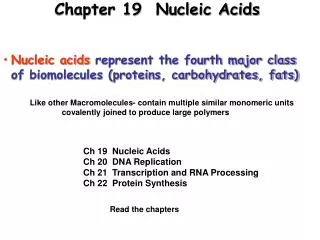 Chapter 19 Nucleic Acids
