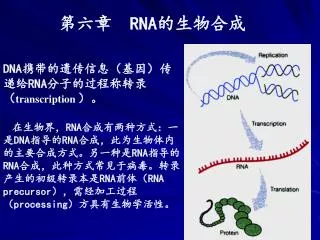 ??? RNA ?????