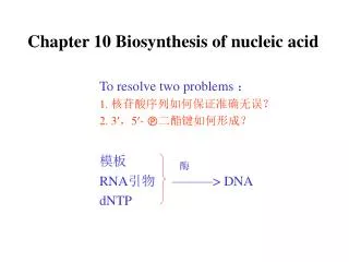 Chapter 10 Biosynthesis of nucleic acid
