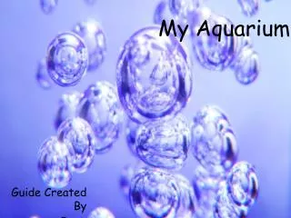 My Aquarium