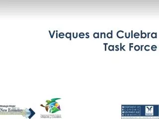Vieques and Culebra Task Force