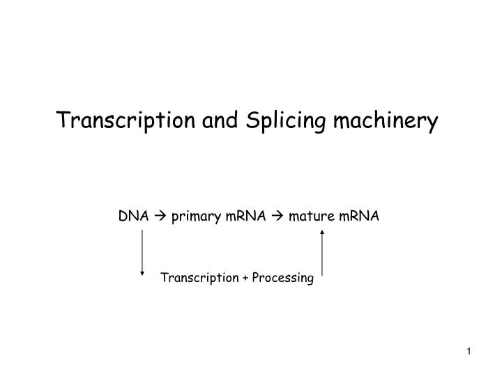 transcription and splicing machinery