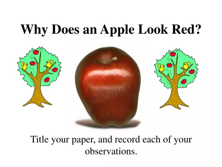 why does an apple look red