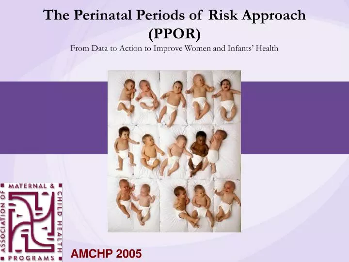 the perinatal periods of risk approach ppor from data to action to improve women and infants health