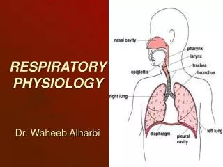 RESPIRATORY PHYSIOLOGY Dr. Waheeb Alharbi