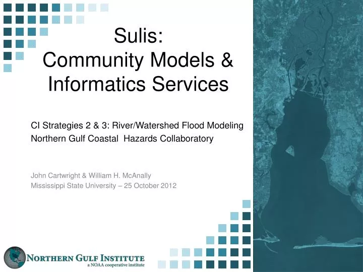 sulis community models informatics services