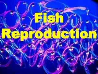 Fish Reproduction