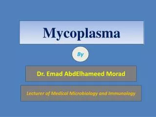 Mycoplasma