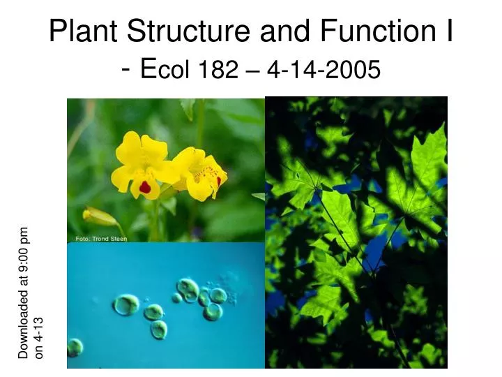 plant structure and function i e col 182 4 14 2005