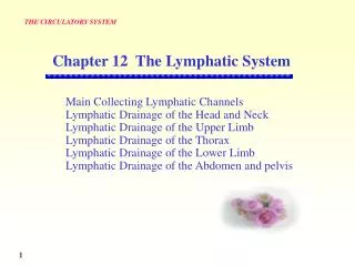 Main Collecting Lymphatic Channels Lymphatic Drainage of the Head and Neck
