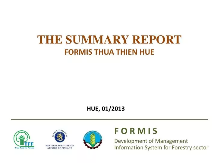 the summary report formis thua thien hue