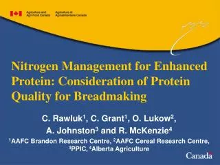 Nitrogen Management for Enhanced Protein: Consideration of Protein Quality for Breadmaking