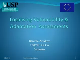 Localising Vulnerability &amp; Adaptation Assessments