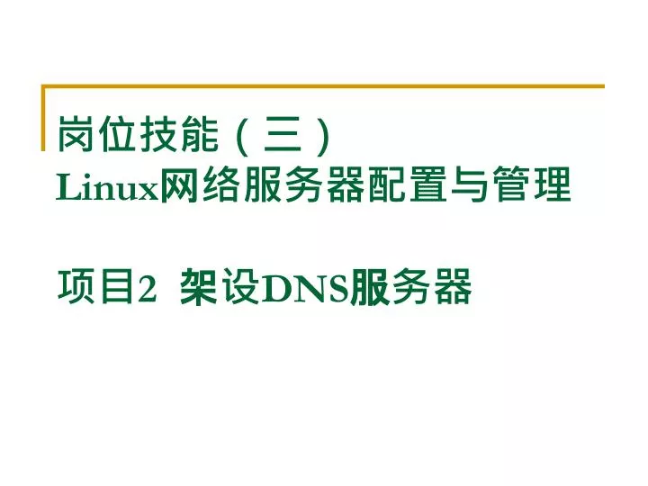 linux 2 dns