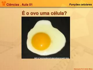 ci ncias aula 01