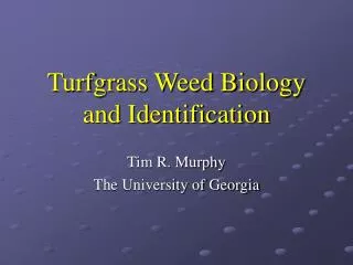 Turfgrass Weed Biology and Identification