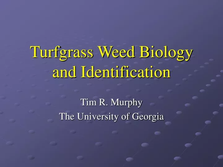 turfgrass weed biology and identification