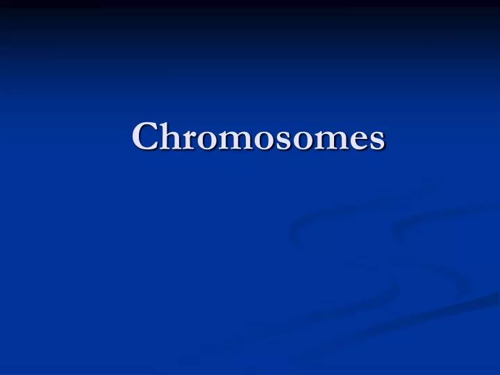 chromosomes