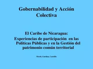 gobernabilidad y acci n colectiva
