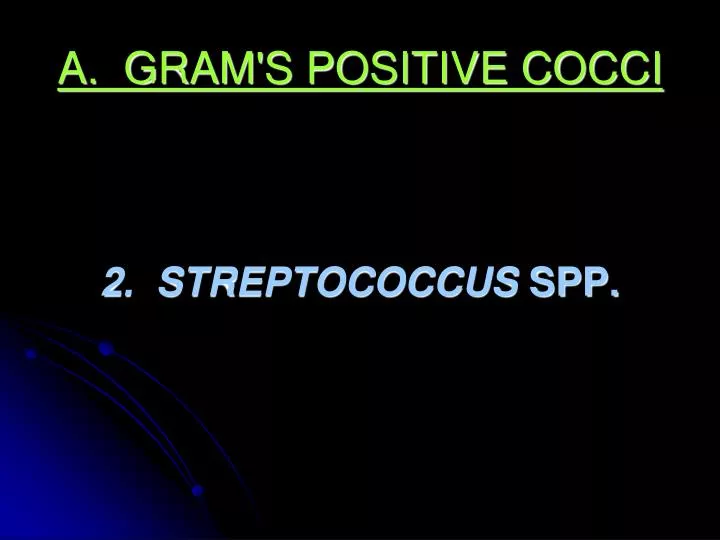a gram s positive cocci