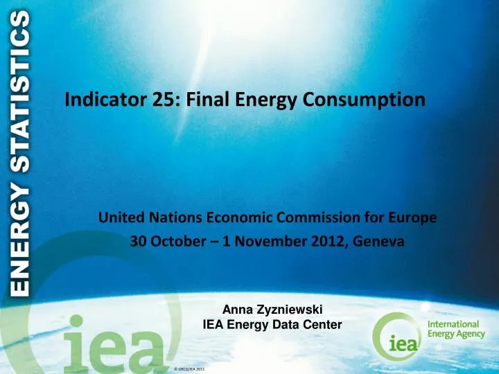 indicator 25 final energy consumption