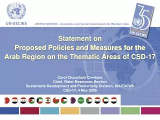 Statement on Proposed Policies and Measures for the Arab Region on the Thematic Areas of CSD-17