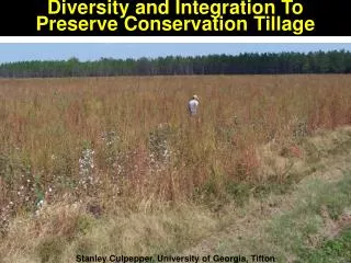 Diversity and Integration To Preserve Conservation Tillage