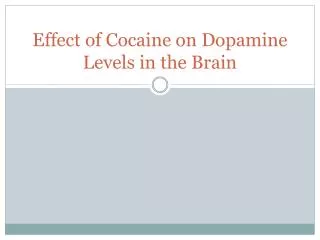 Effect of Cocaine on Dopamine Levels in the Brain