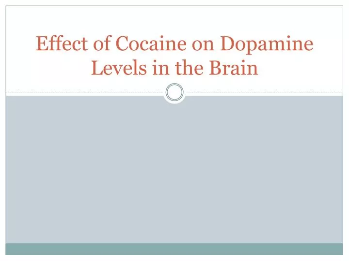 effect of cocaine on dopamine levels in the brain