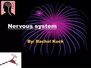 Nervous system