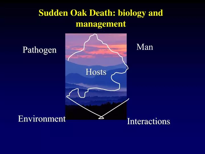 sudden oak death biology and management