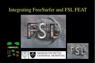 Integrating FreeSurfer and FSL FEAT