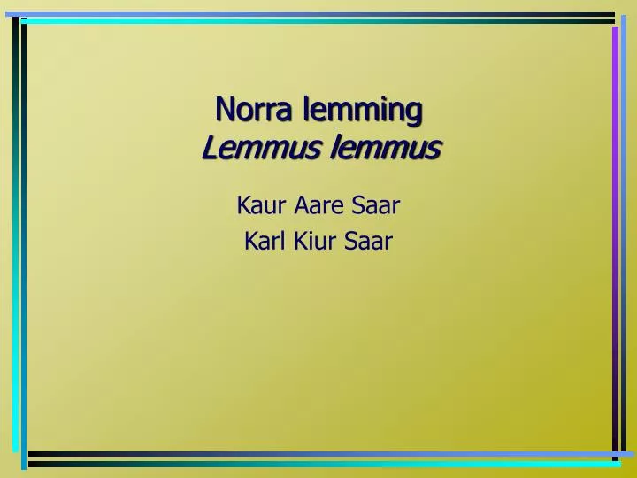 norra lemming lemmus lemmus